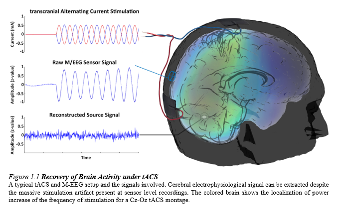 Recovery of Brain Activity under tACS